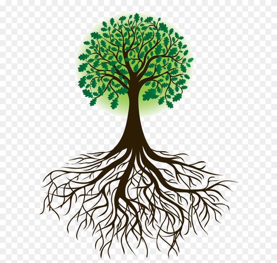 Roots Clipart Cartoon, Plant, Root, Tree, Chandelier Free Png