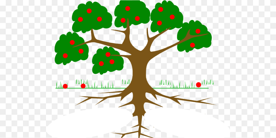 Roots Clipart Rooted Tree Tree With Roots Cartoon, Plant, Root, Leaf, Vegetation Png Image