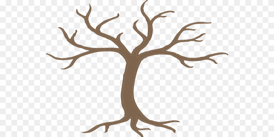 Roots Clipart Tree Trunk Tree With 12 Branches, Animal, Kangaroo, Mammal Free Transparent Png