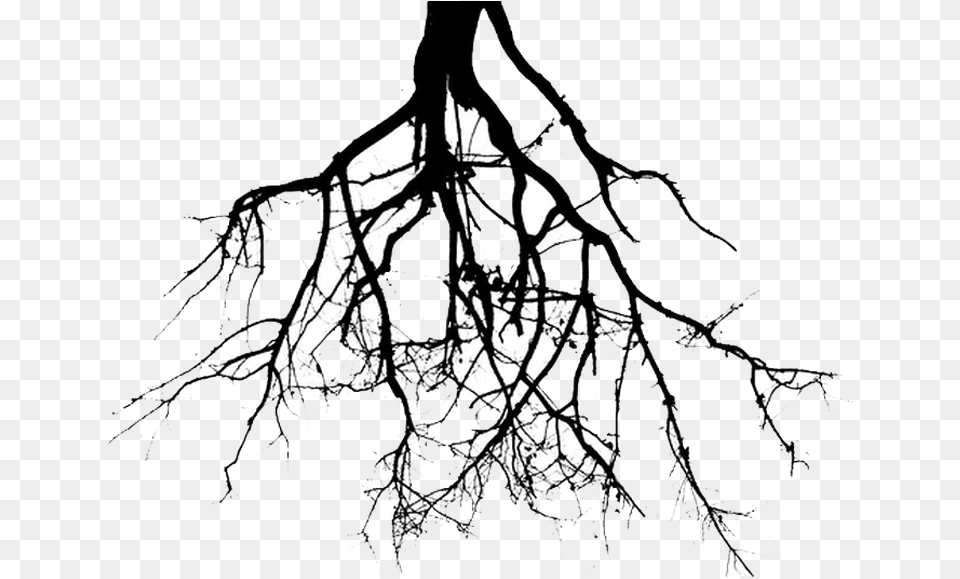 Roots Drawing Transparent Background Tree Roots, Chandelier, Lamp, Person Png