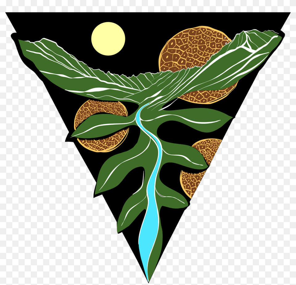 Roots Program Kalihi Valley, Leaf, Plant, Food, Nut Png Image