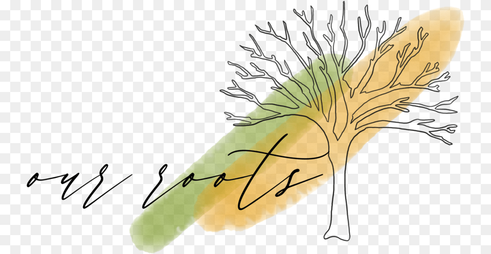 Roots Sketch, Handwriting, Text, Food Png Image