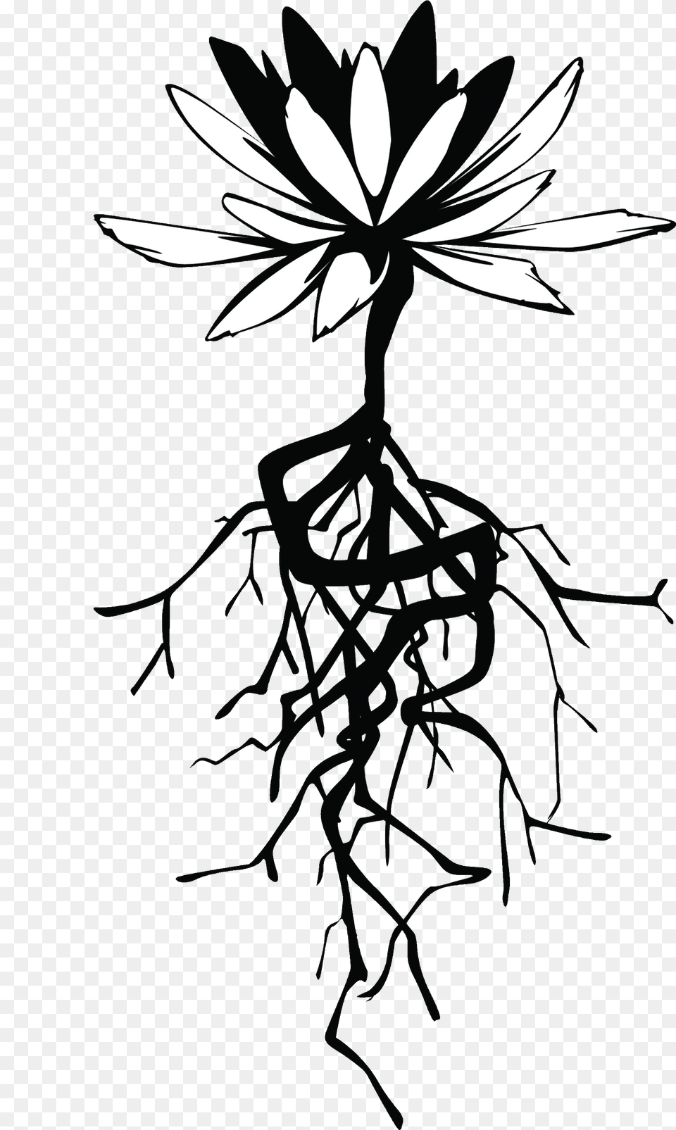 Roots Transparent Flower With Roots, Silhouette, Stencil, Art, Cross Free Png