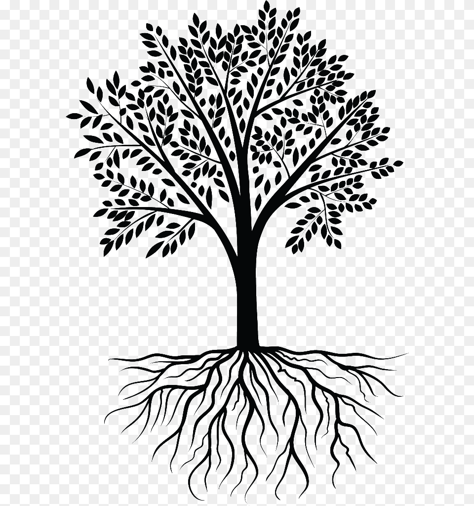 Roots Vector Black Tree Of Roots, Art, Drawing, Animal, Bird Free Transparent Png