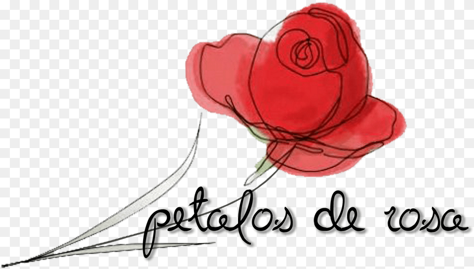 Ropa Intima Vestuario Y Calzado Para Mujeres Entre Garden Roses, Flower, Petal, Plant, Rose Free Png Download