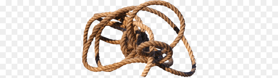 Rope, Animal, Reptile, Snake, Knot Png