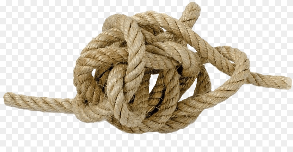 Rope, Knot, Animal, Bear, Mammal Free Png Download