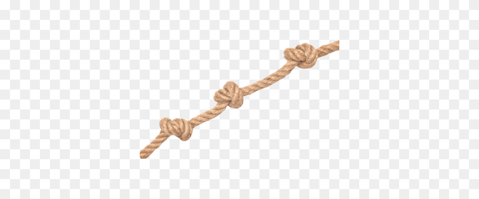 Rope Knots Transparent, Knot, Animal, Kangaroo, Mammal Free Png Download