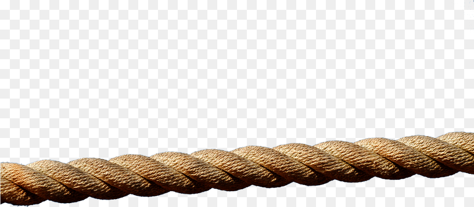 Rope Line Transparent Background, Plant Free Png Download