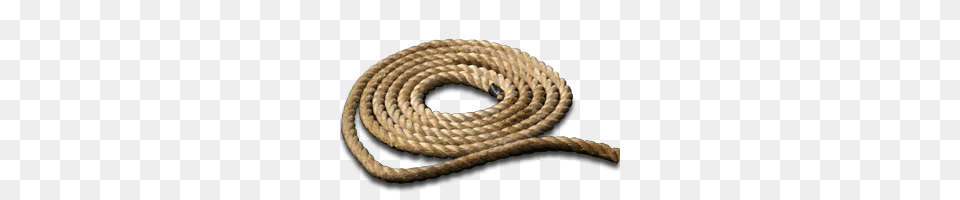 Rope On The Floor, Animal, Reptile, Snake, Coil Free Png Download