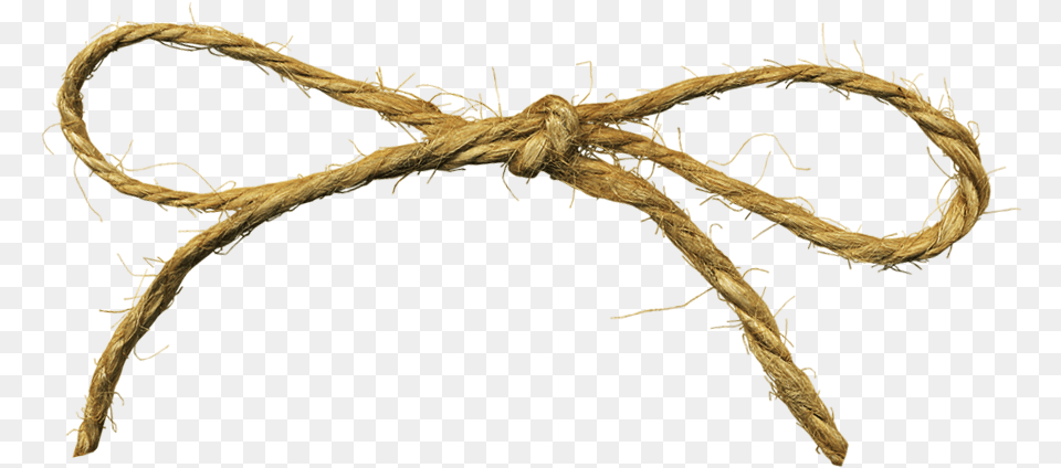 Rope Twine, Knot, Animal, Insect, Invertebrate Free Png Download