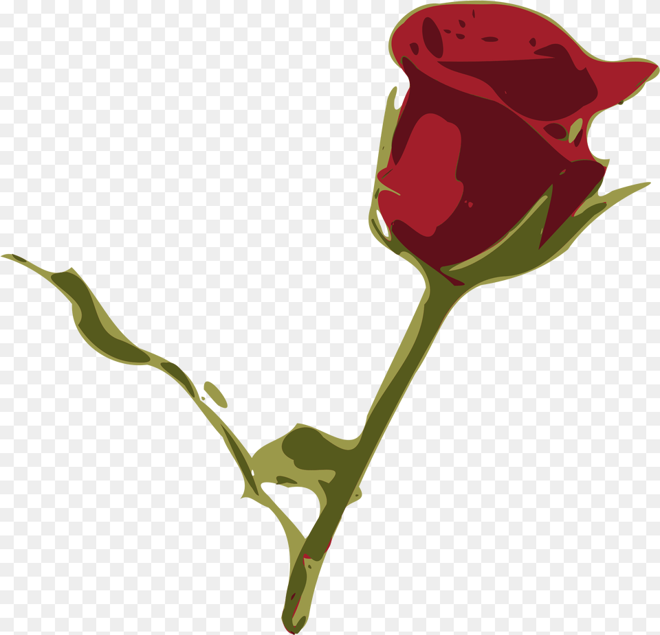 Rosa, Flower, Plant, Rose, Smoke Pipe Png