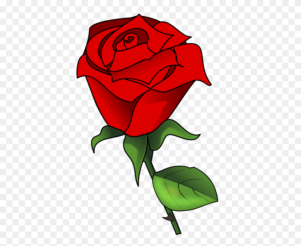 Rosa, Flower, Plant, Rose, Dynamite Free Png Download