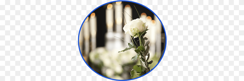 Rosa Blanca Con Velas Death By Steffi Cavell Clarke, Flower, Flower Arrangement, Flower Bouquet, Plant Png Image