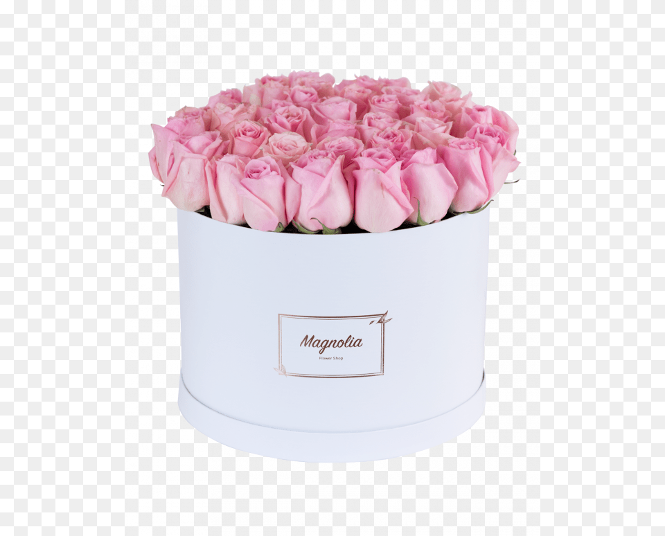 Rosa Centifolia, Rose, Plant, Flower Bouquet, Flower Arrangement Free Png Download