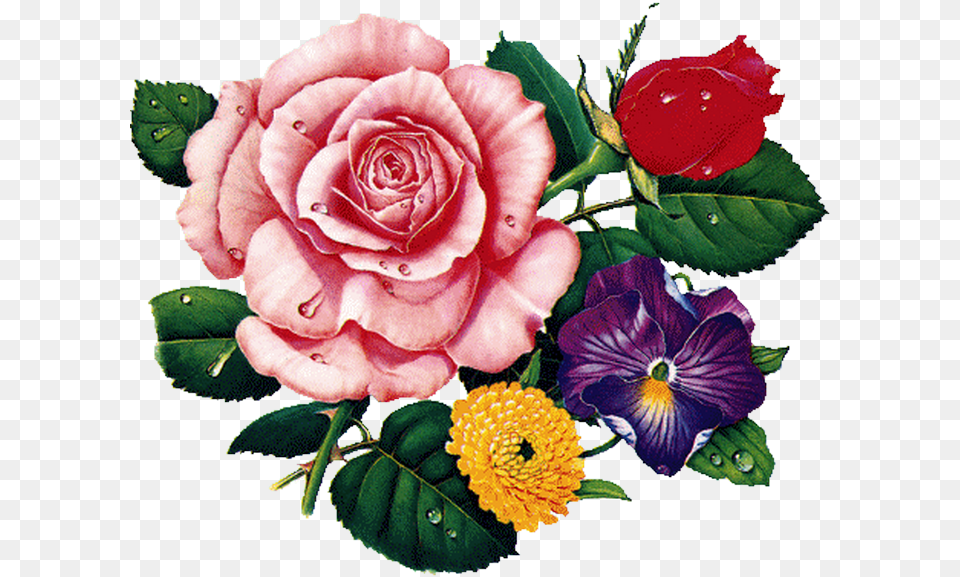 Rosa E Flores Floral Tea Cups Cartoon, Flower, Flower Arrangement, Flower Bouquet, Plant Free Png