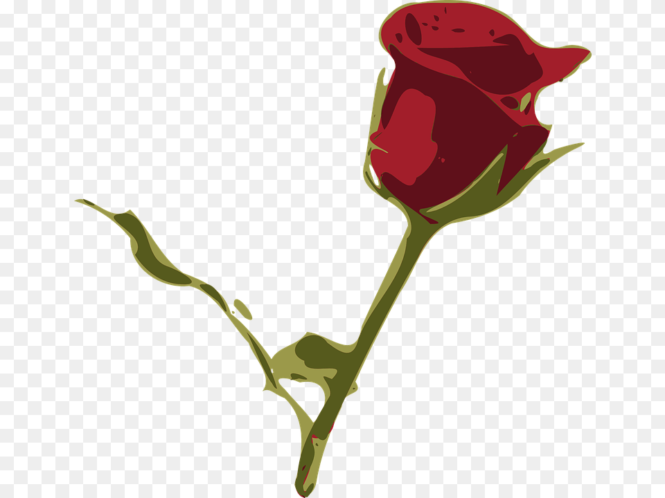 Rosa Flower Cliparts 24 Buy Clip Art Rosa, Plant, Rose Png