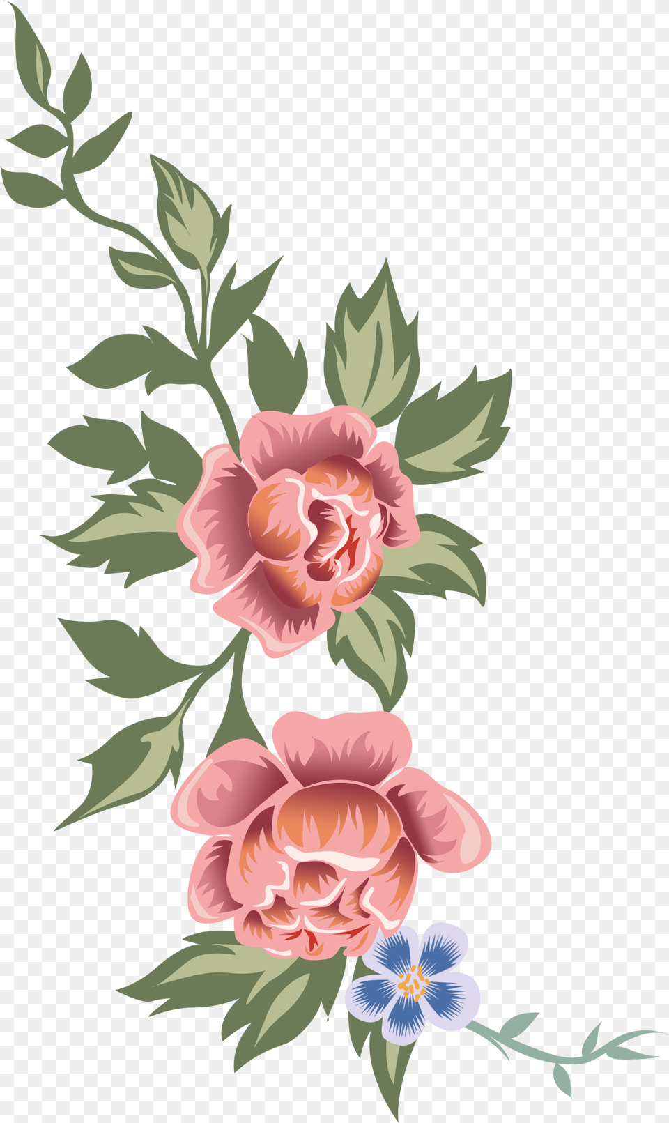 Rosa Glauca, Art, Floral Design, Graphics, Pattern Png