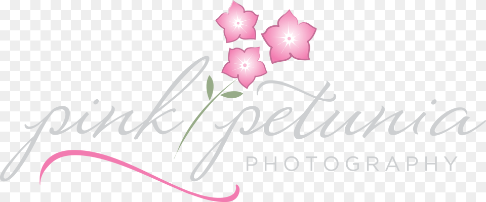 Rosa Glauca, Flower, Petal, Plant, Rose Free Transparent Png