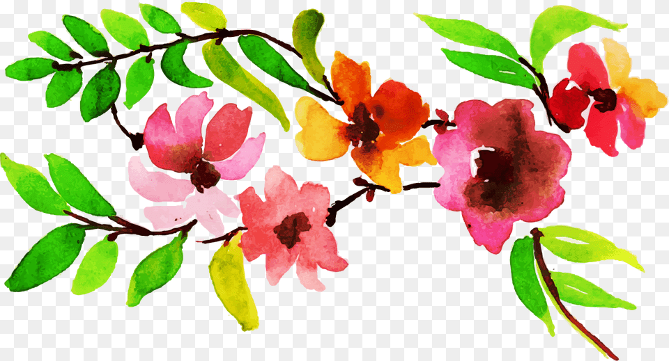 Rosa Glauca, Flower, Petal, Plant, Leaf Png