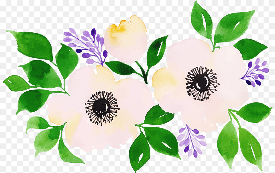 Rosa Glauca, Anemone, Plant, Flower, Floral Design Free Png