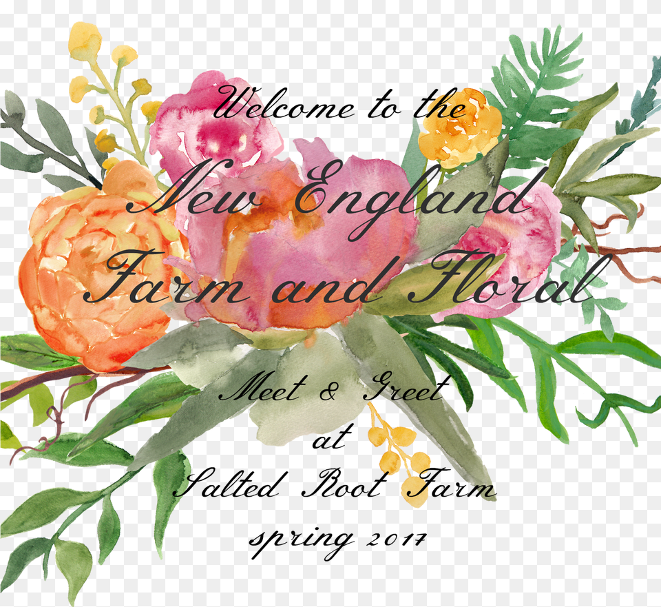 Rosa Glauca Flower, Art, Pattern, Graphics, Floral Design Free Png Download