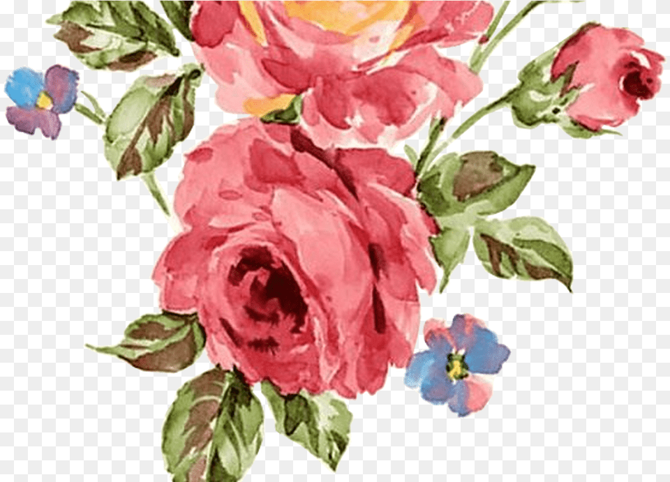 Rosa Oleo Tole Painting Wallpaper Flowers Vintage Flower Print, Art, Floral Design, Graphics, Pattern Png Image
