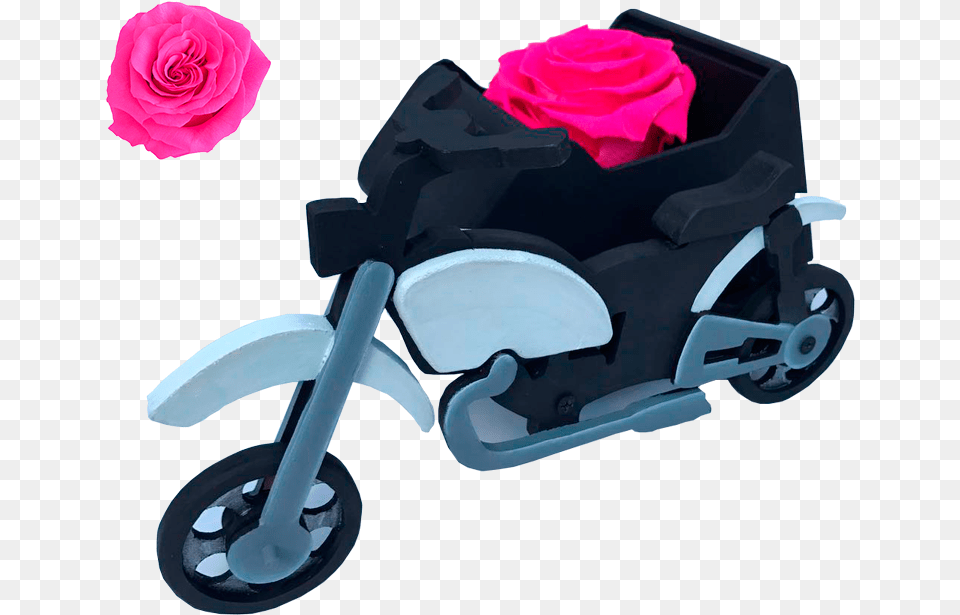 Rosa Roja, Flower, Plant, Rose, Machine Png Image