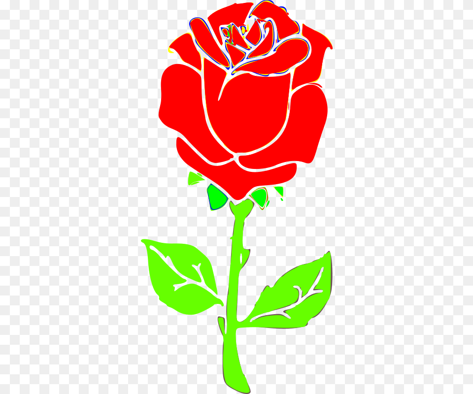 Rosa Rose Drawing, Flower, Plant, Dynamite, Weapon Png Image