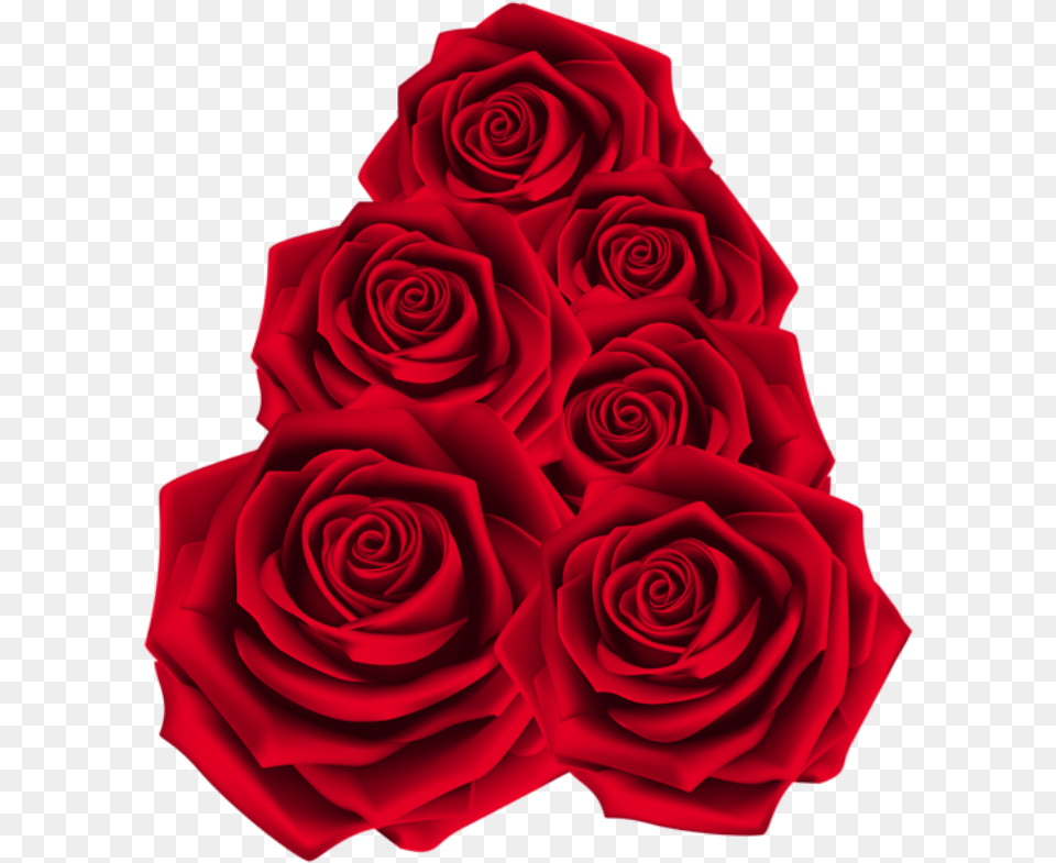 Rosa Vermelha 2 Gulab Flower, Plant, Rose, Petal Free Png