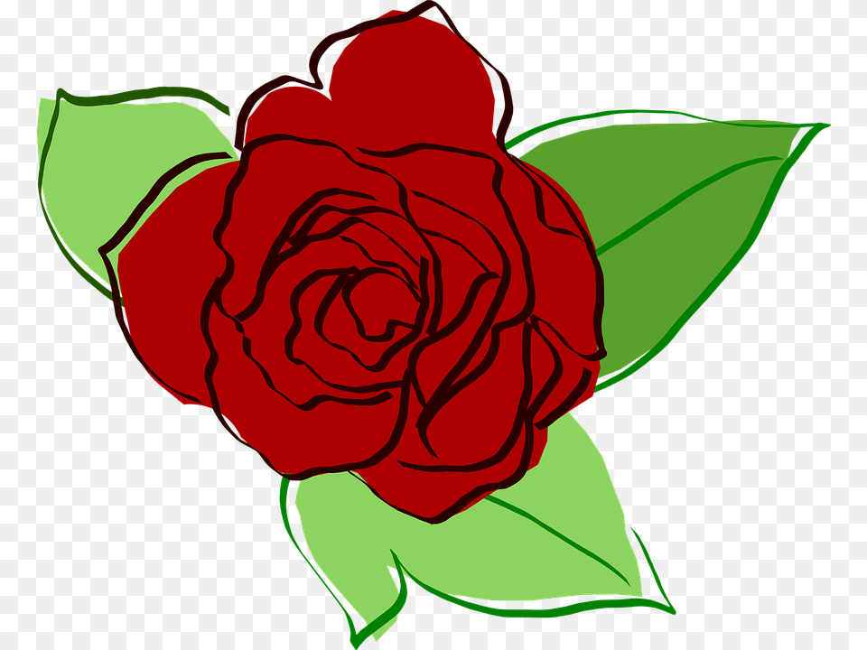 Rosa Vermelha Desenho Red Rose Draw, Flower, Plant Png