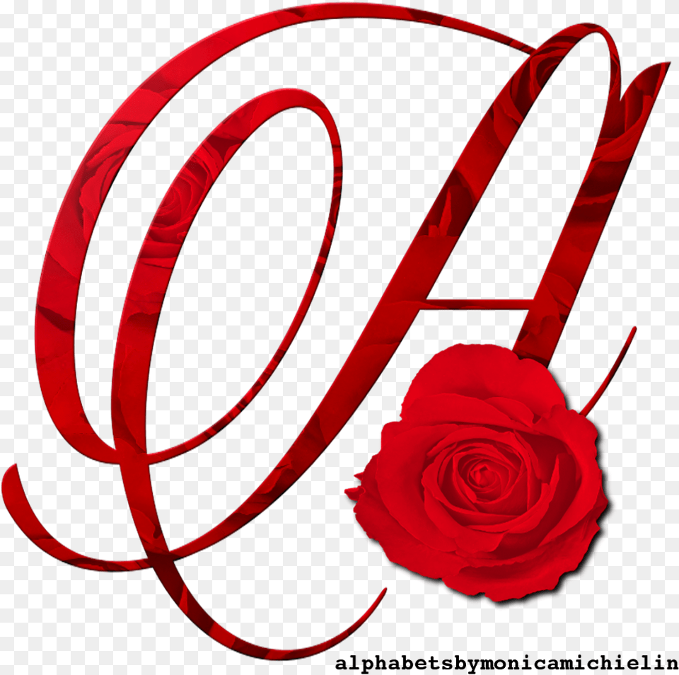 Rosa Vermelha Em, Flower, Plant, Rose Png