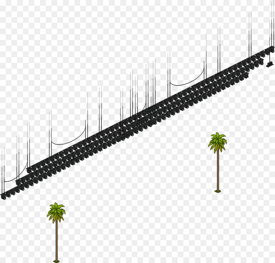 Rosario Tree, Plant, Palm Tree, City, Green Free Transparent Png