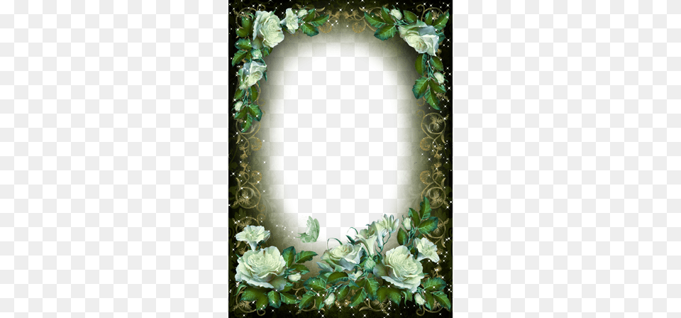 Rosas Blancas Vintage Sheltie Guinea Pig, Adult, Wedding, Person, Woman Free Transparent Png