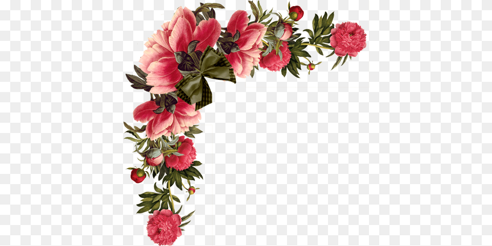 Rosas De Vernica Cantos Flores Do Vintage Em Border Red Flowers, Carnation, Flower, Plant, Flower Arrangement Png Image