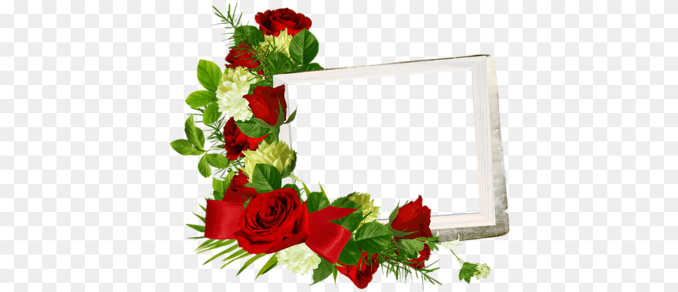 Rosas Frame, Flower, Flower Arrangement, Flower Bouquet, Plant Png Image