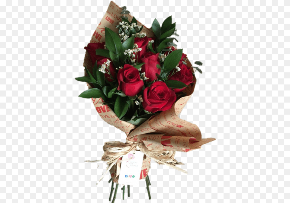 Rosas Rojas, Flower, Flower Arrangement, Flower Bouquet, Plant Png