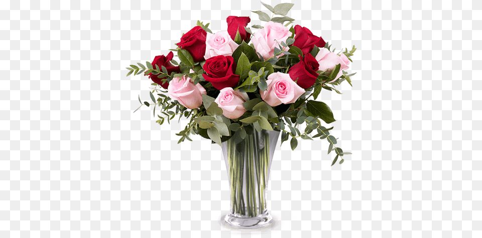 Rosas Rojas 6 Rosas Rosadas Gypsophila Y Follaje Mothers Day Flowers 2018, Rose, Flower, Flower Arrangement, Flower Bouquet Png Image