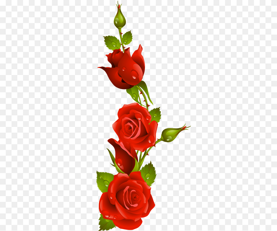Rosas Rojas Animadas Love Kiss Rose Flower, Plant, Flower Arrangement, Flower Bouquet Free Png
