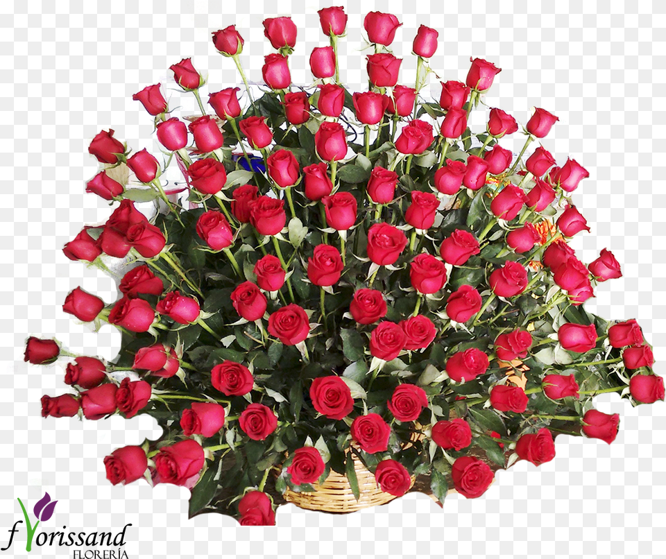 Rosas Rojas Bouquet, Flower, Flower Arrangement, Flower Bouquet, Plant Png Image