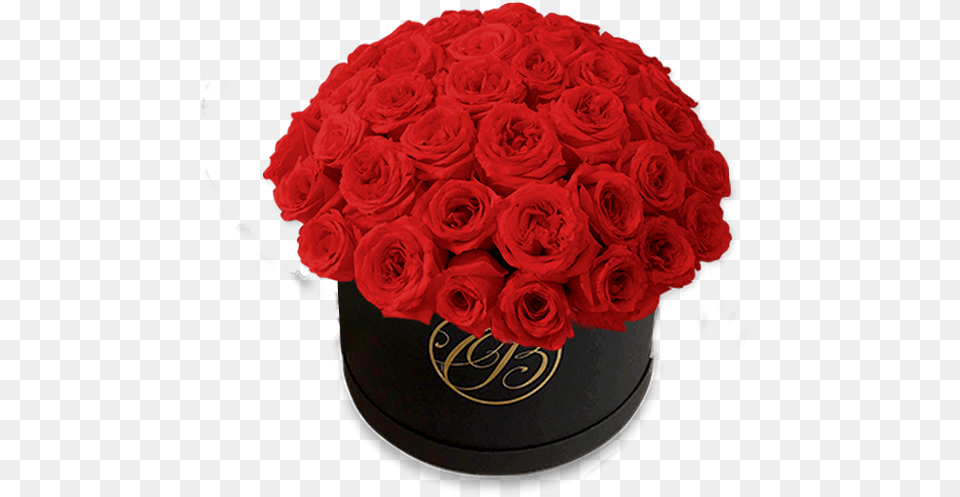 Rosas Rojas Cajas De Rosas Rojas, Flower, Flower Arrangement, Flower Bouquet, Plant Free Png