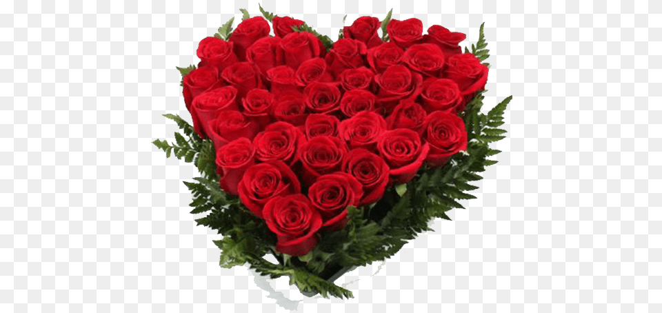 Rosas Rojas Love Morning Wishes Good Morning In Hd, Flower Bouquet, Rose, Flower, Flower Arrangement Png Image