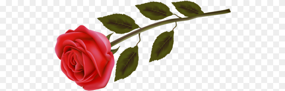 Rosas Rojas Para Photoshop Heart With Three Roses, Flower, Plant, Rose, Person Png