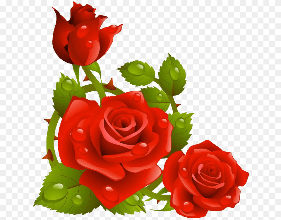 Rosas Rojas Sticker By Bribella Love Most Beautiful Flower, Plant, Rose Free Png