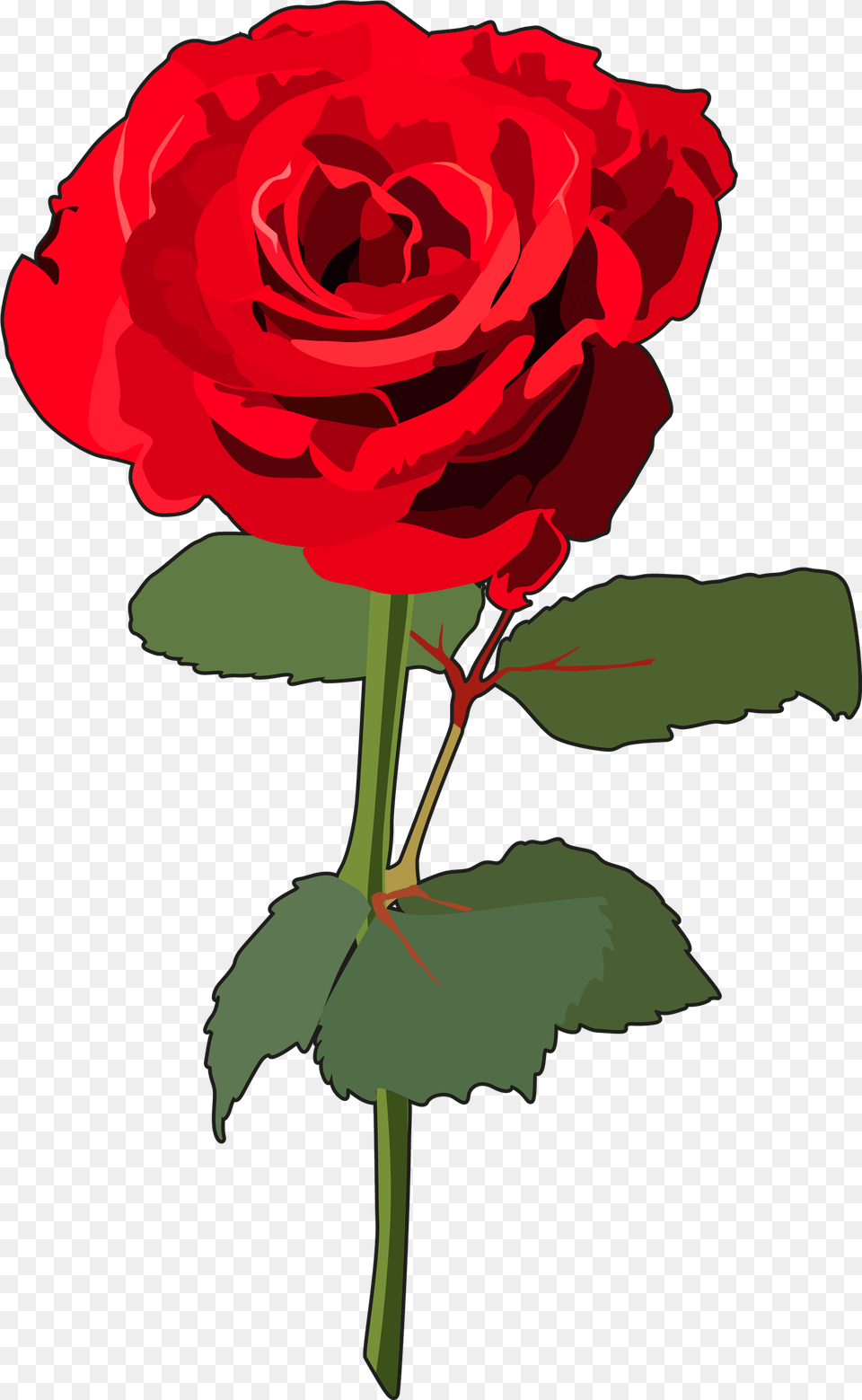 Rosas Rosa Con Tallo, Flower, Plant, Rose Free Png Download