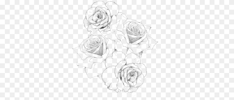 Rosas Rose Recursos Negro Black Black Amp Rose Tattoo, Flower, Plant, Art, Wedding Free Png Download