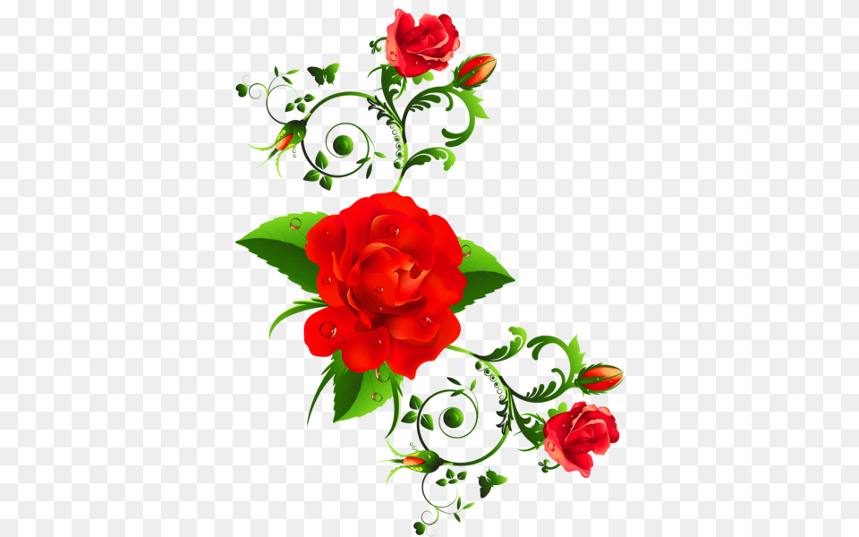 Rosas Vermelhas Decor Clipe Art Rose, Floral Design, Flower, Graphics, Pattern Free Png