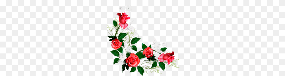 Rosas Vermelhas Icon Download, Art, Flower, Flower Arrangement, Flower Bouquet Free Png