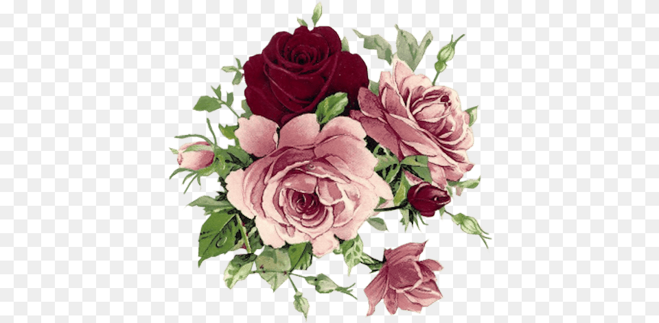 Rosas Vintage Para Scrap Rose Roses, Flower, Flower Arrangement, Flower Bouquet, Plant Free Png
