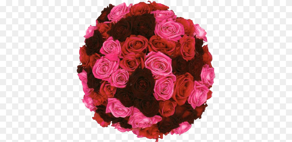 Rosde Bouque Round Shape Garden Roses, Rose, Plant, Petal, Flower Bouquet Free Transparent Png